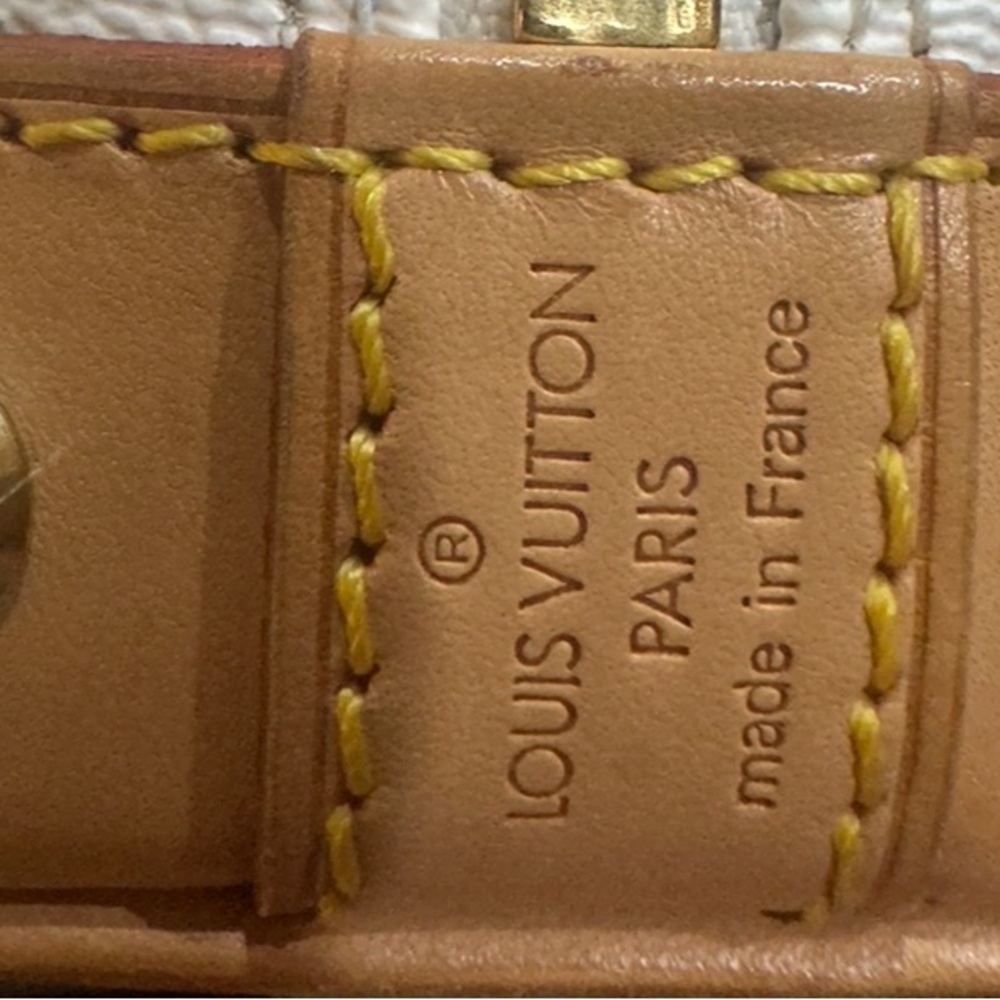 Authentic Lv Multicolored Alma Pm - image 6